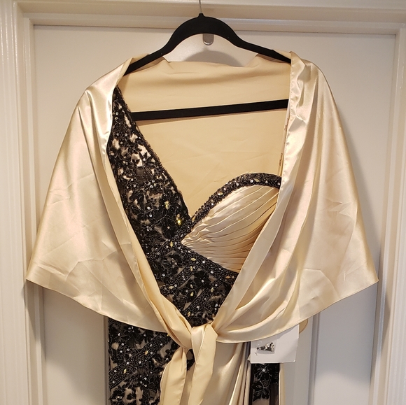 Tony Bowls Evening Gown - Picture 4 of 11